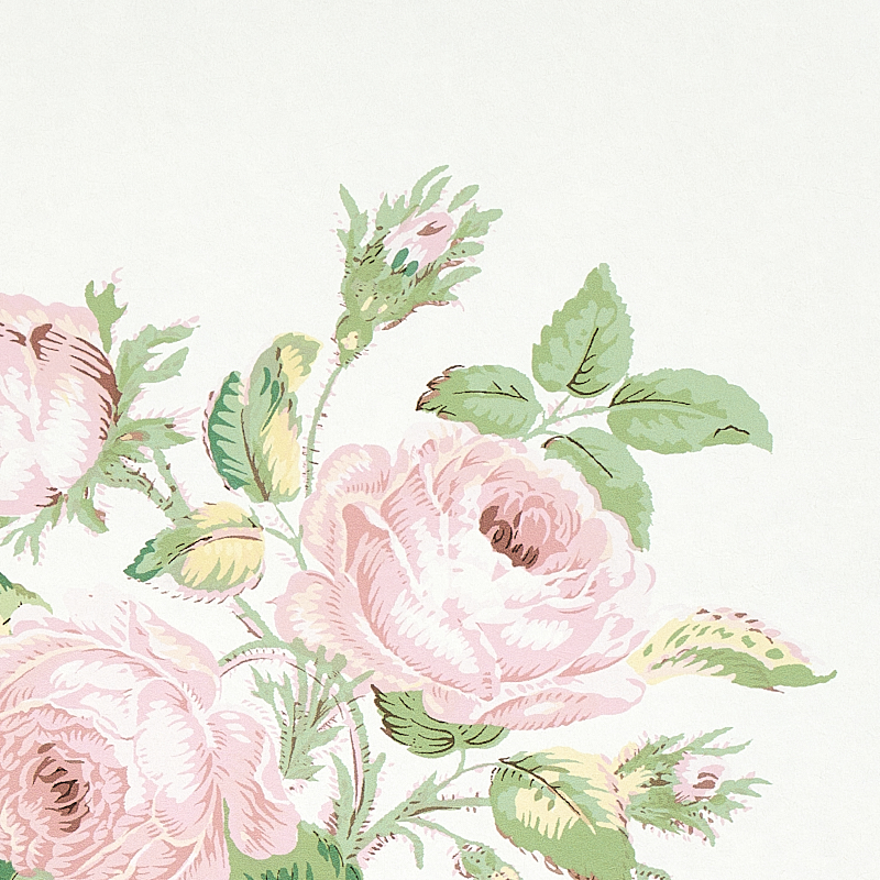 LOUDON ROSE gallery 2