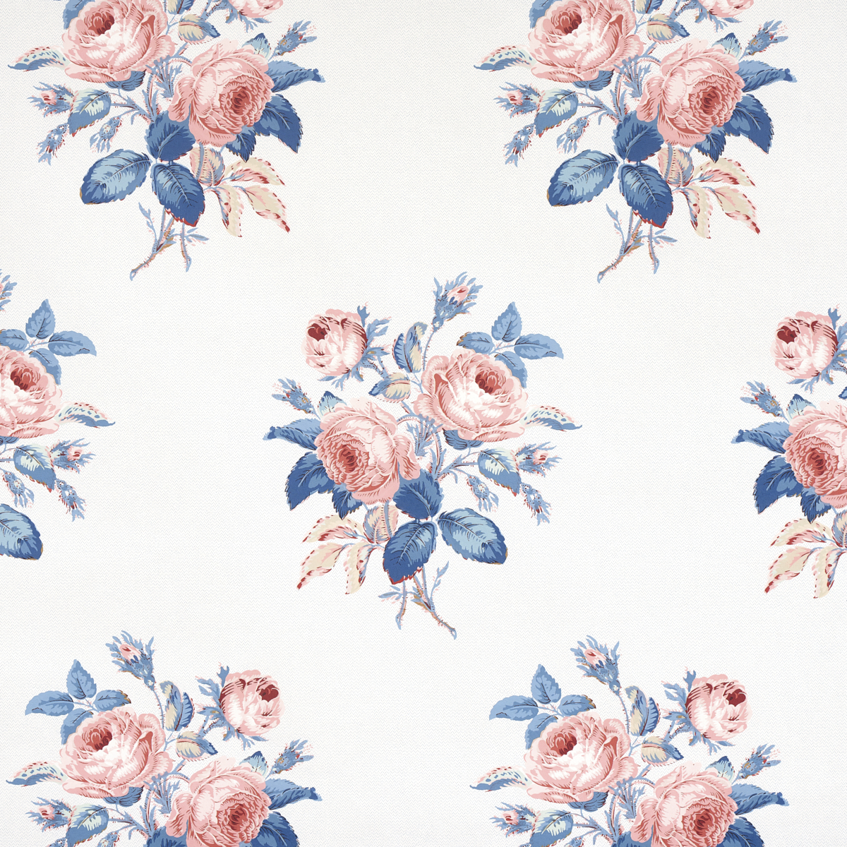 ROSE & BLUE