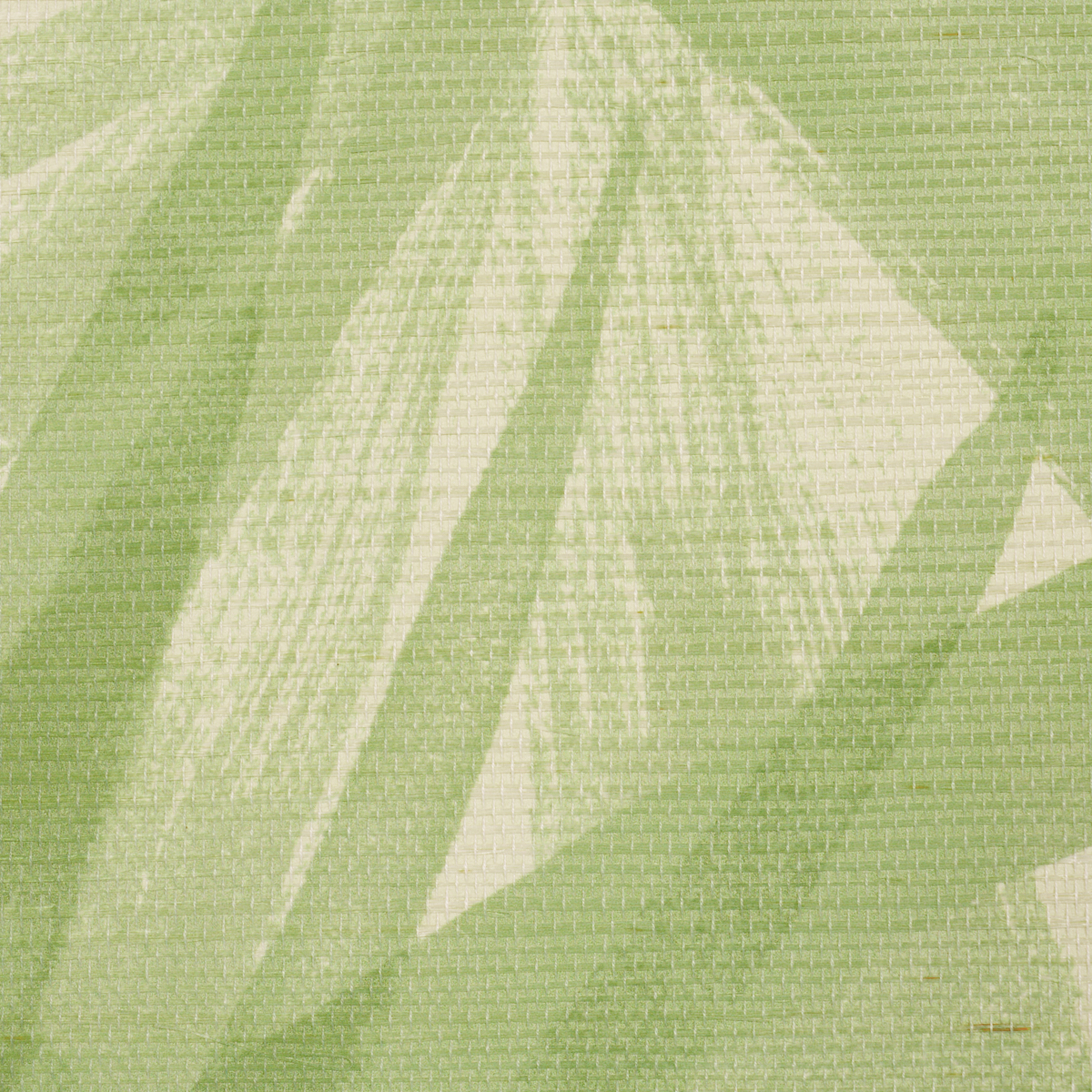 SUNLIT PALM SISAL gallery 3