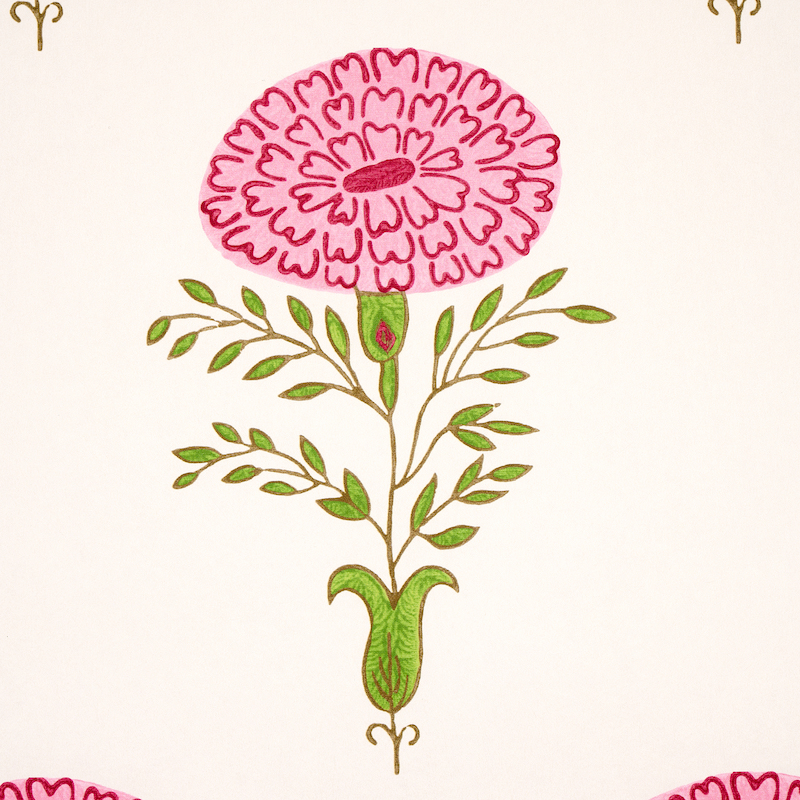 Marigold gallery 2