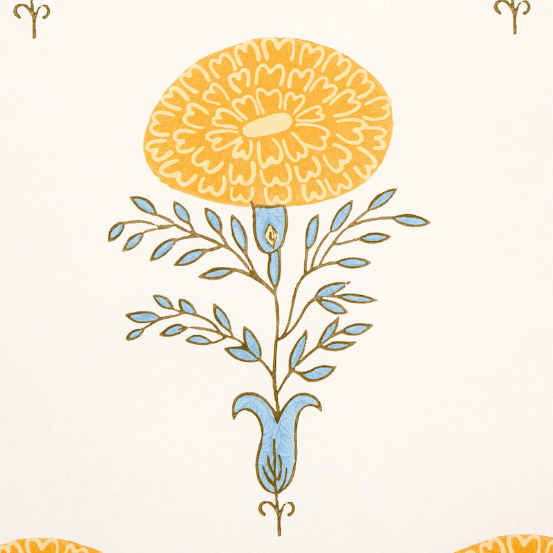 Marigold gallery 3