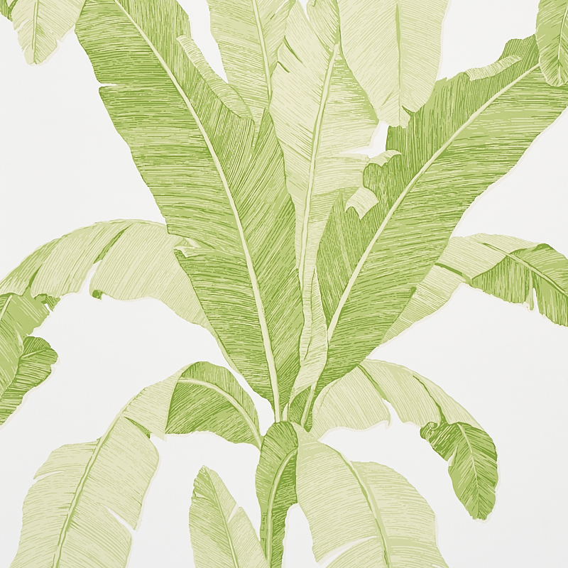 LEAF