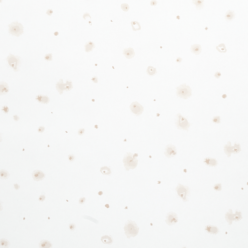 STELLAR — NEUTRAL