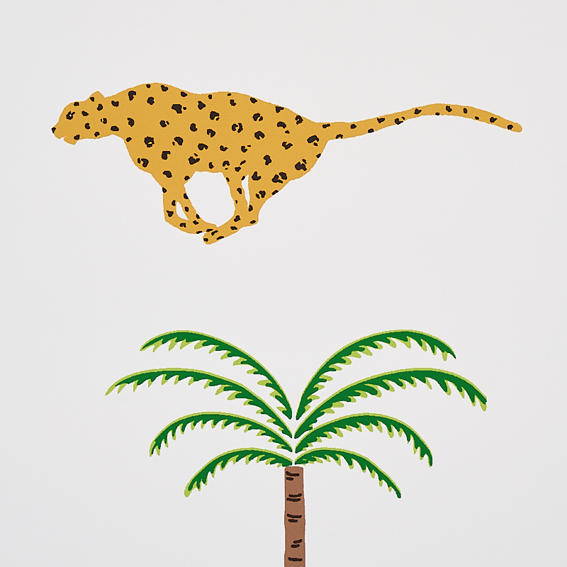 A Wild Desert Dream gallery 2