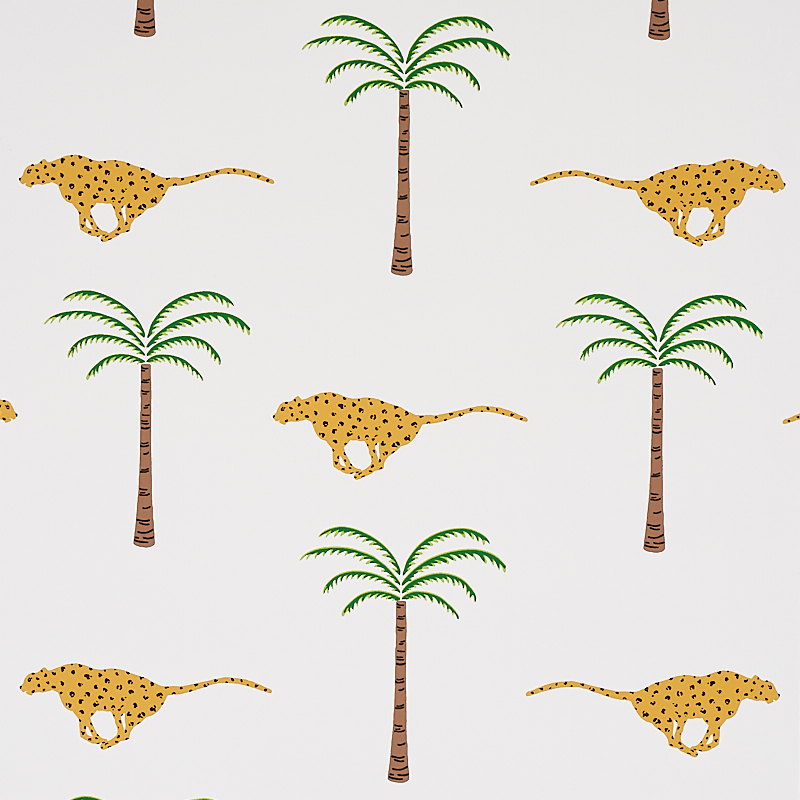 SAFARI