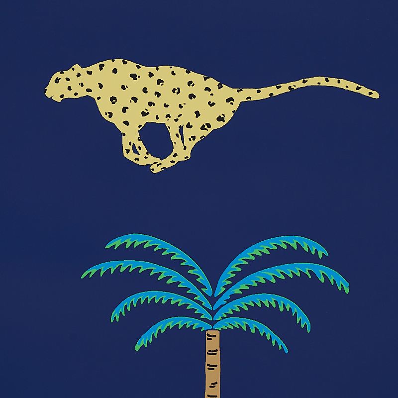 A Wild Desert Dream gallery 2