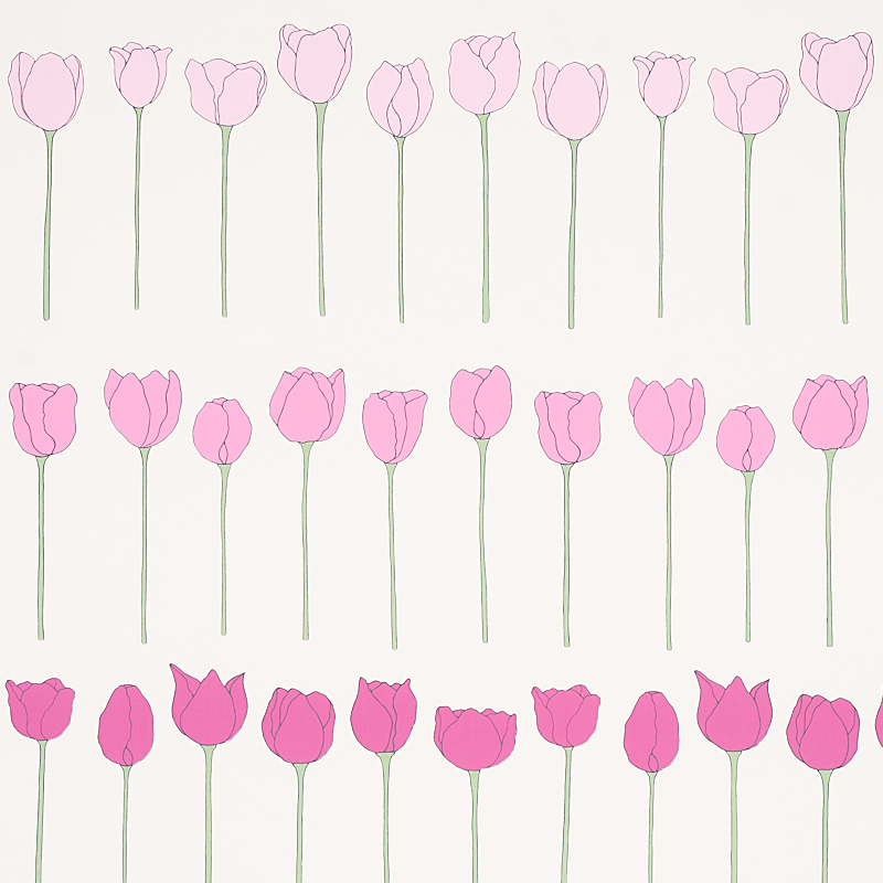 PINK LADIES
