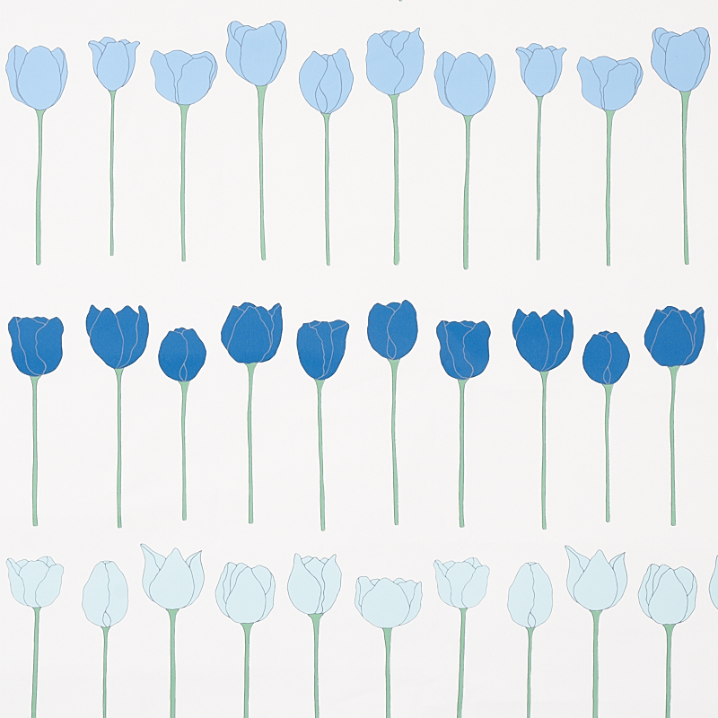 EDIE — BLUE PARROT