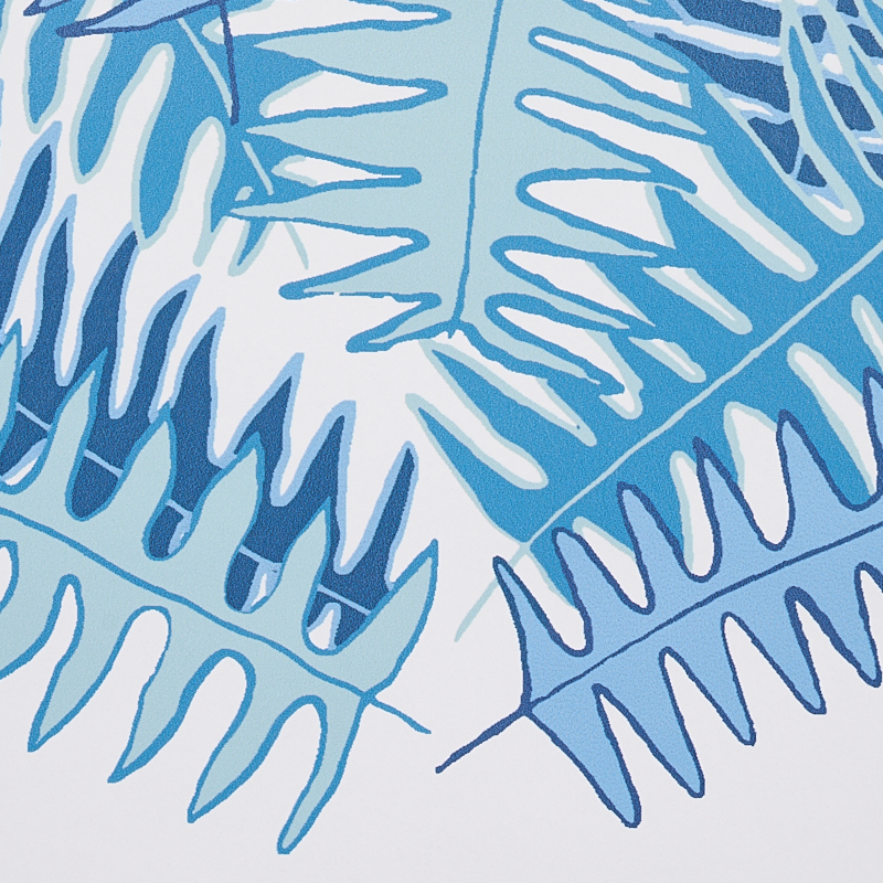 CANYON FERNS gallery 2