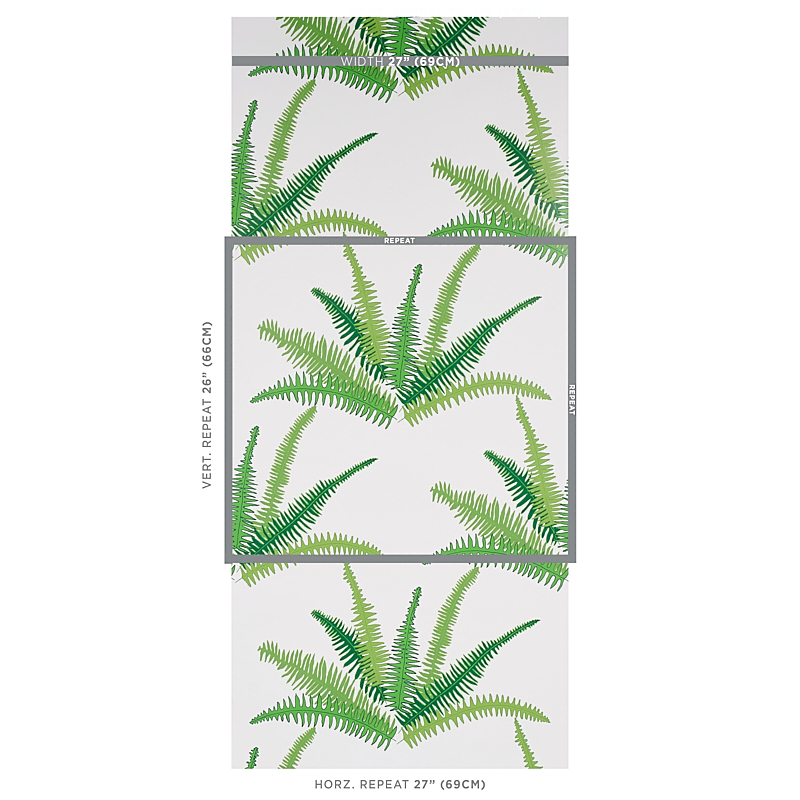 CANYON FERNS gallery 1