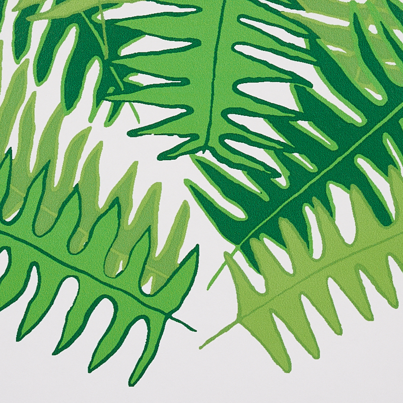 CANYON FERNS gallery 2