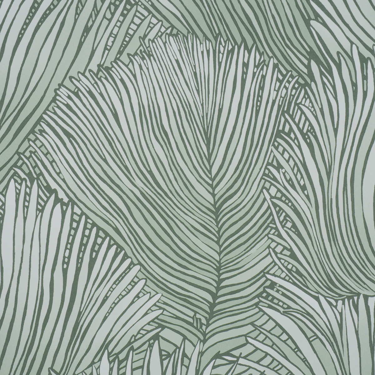 FONDALE gallery 2