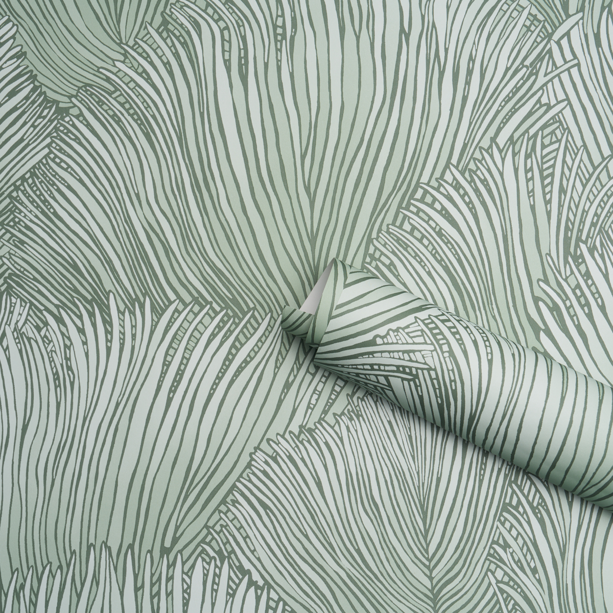 FONDALE gallery 3