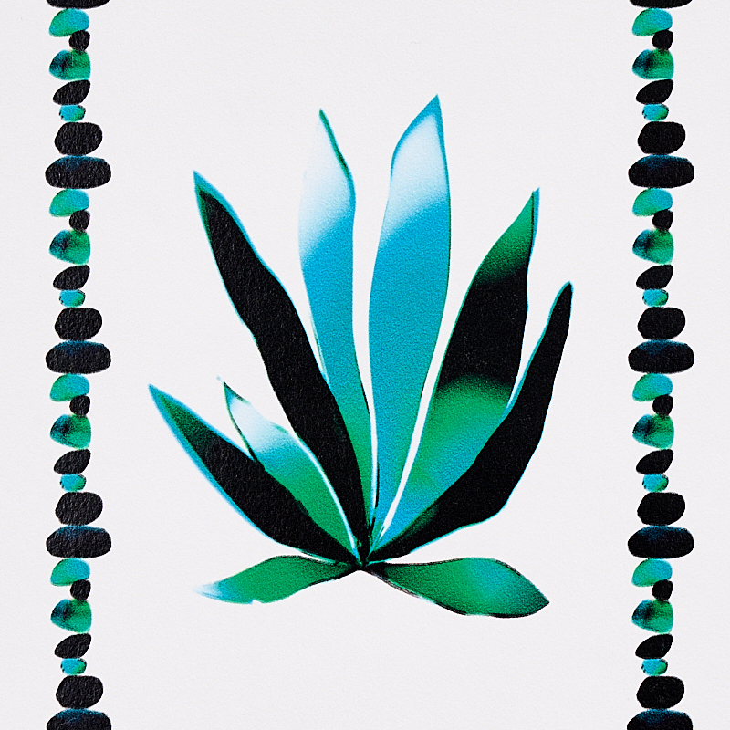AGAVE STRIPE gallery 2
