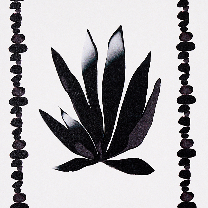AGAVE STRIPE gallery 2