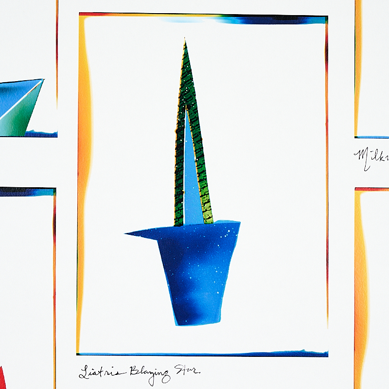 BOTANICALS gallery 2