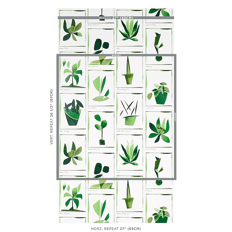 BOTANICALS gallery 1