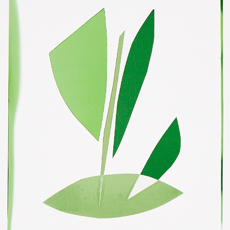 BOTANICALS gallery 3