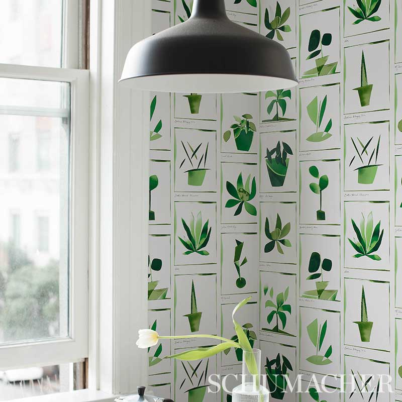 BOTANICALS gallery 4