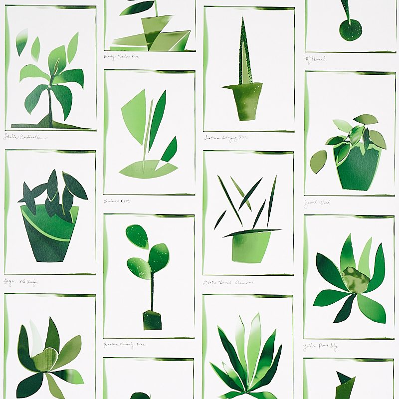 GREENHOUSE