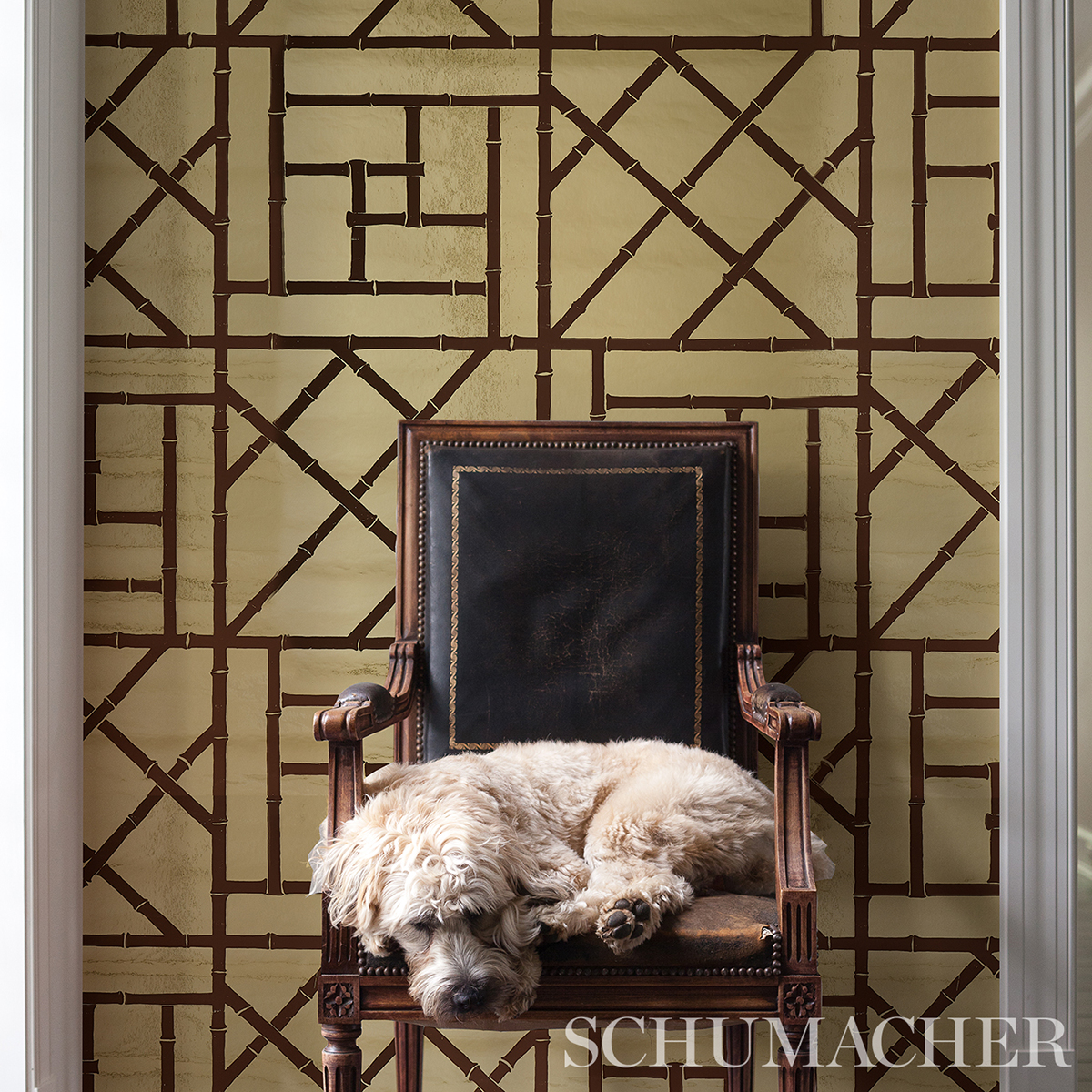 TRELLIS METALLIC gallery 5