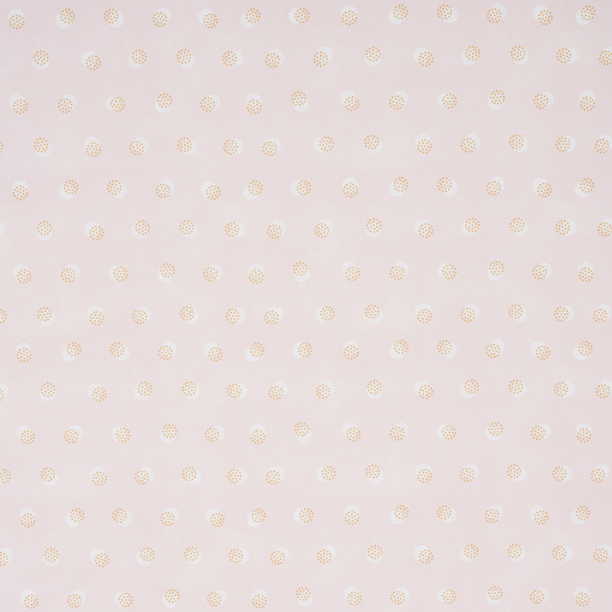 TAYLOR gallery 2