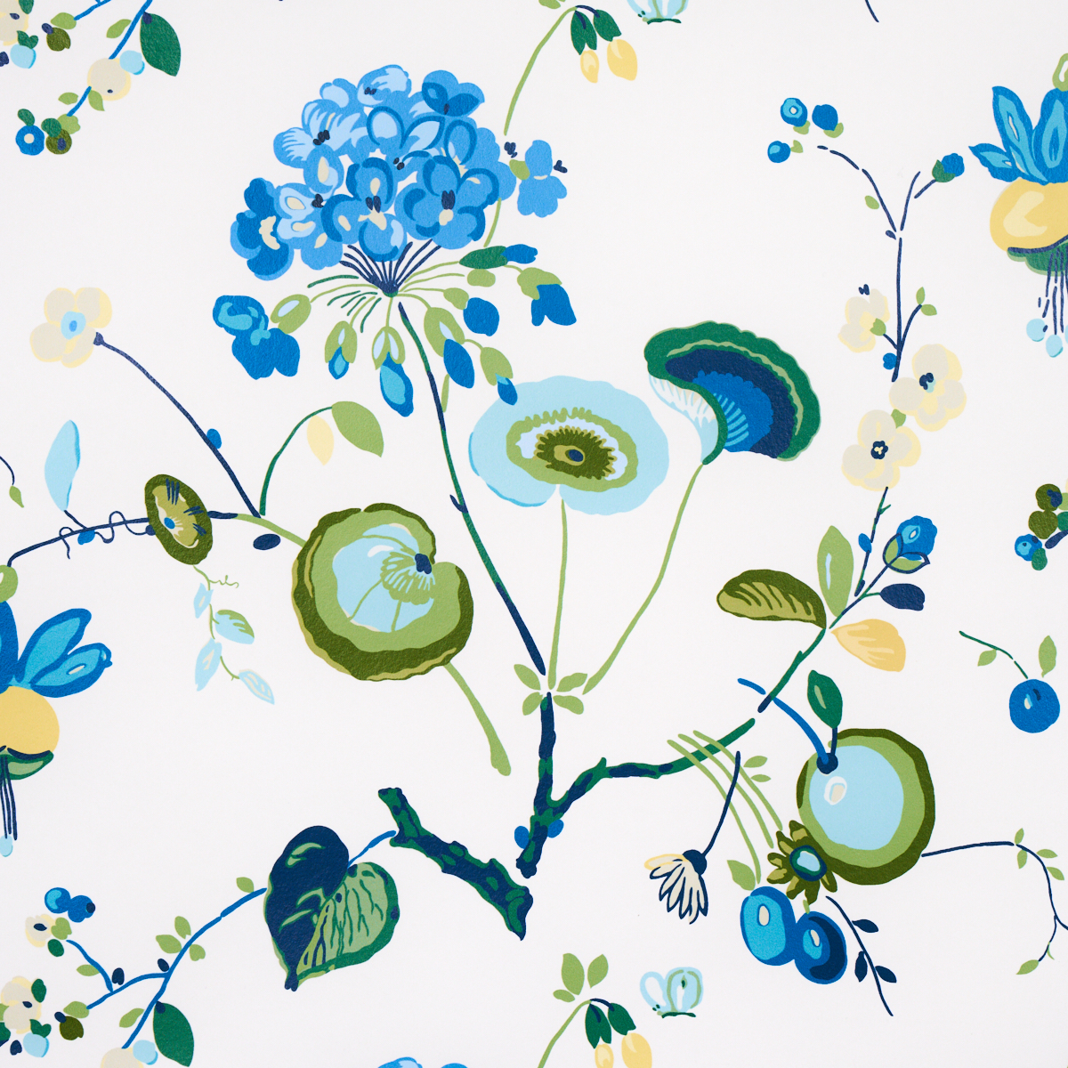 VASILY gallery 2