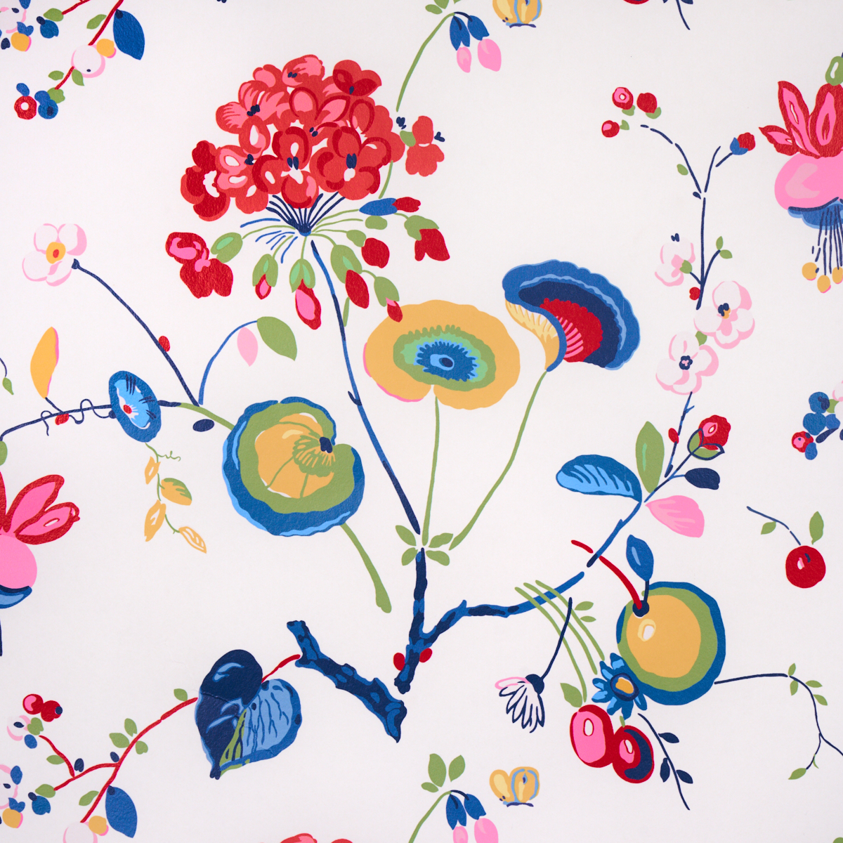 VASILY gallery 2