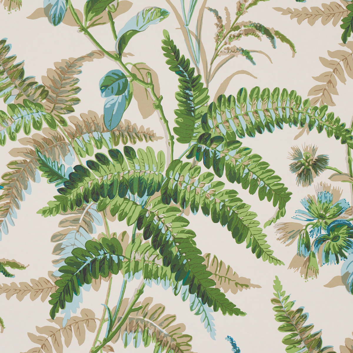 MYERS FERN gallery 2