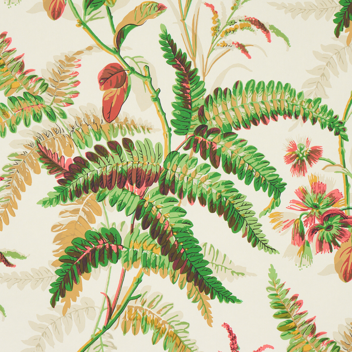 MYERS FERN gallery 2