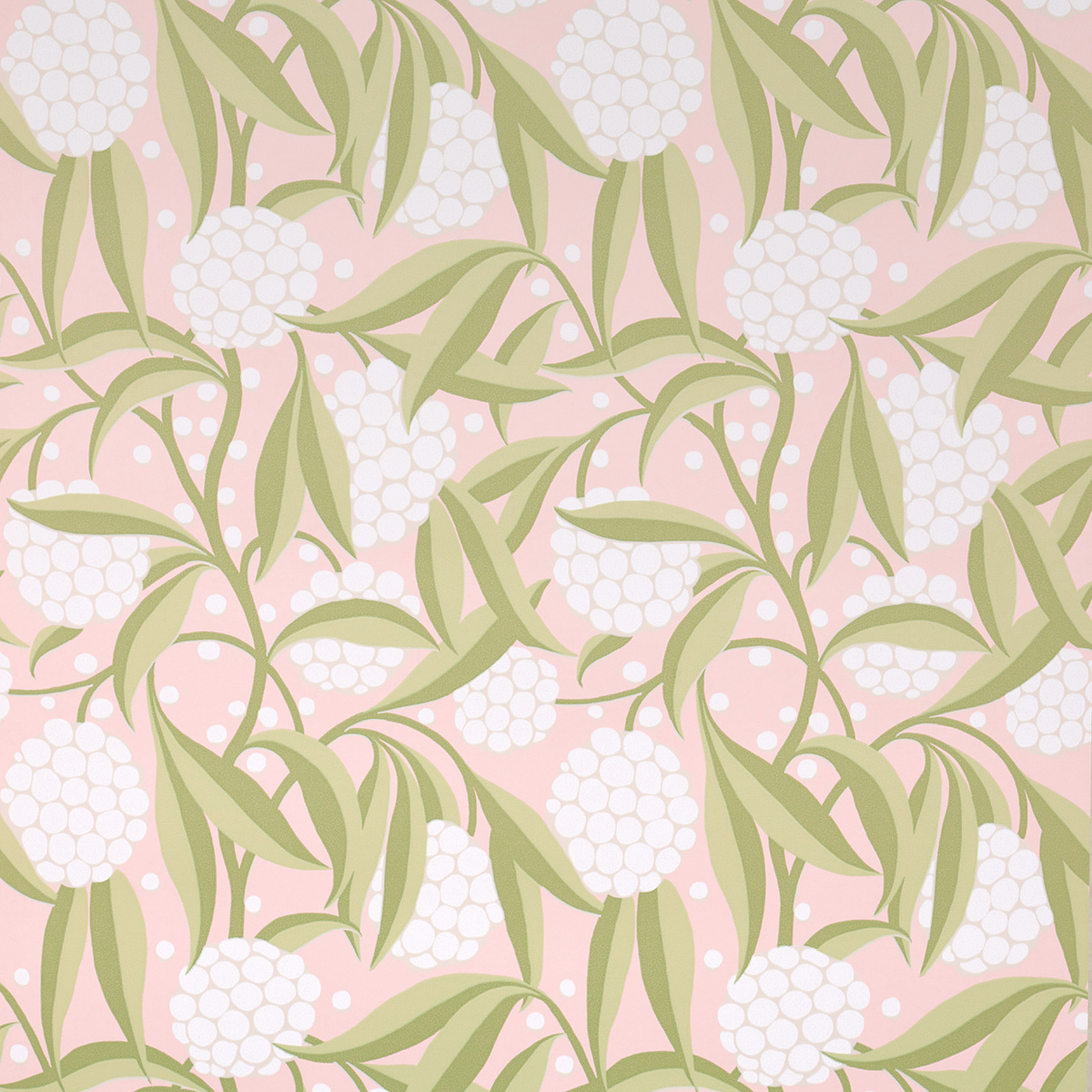 Rubus — BLUSH