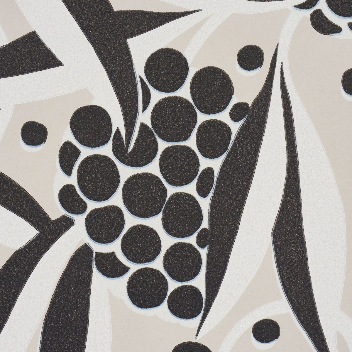 Rubus gallery 2