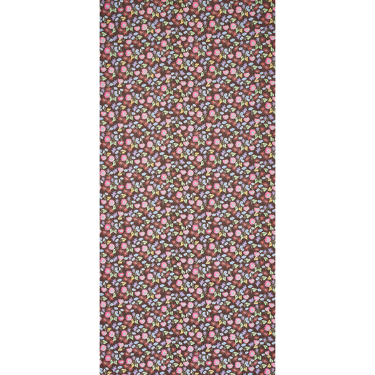 CALICO gallery 1