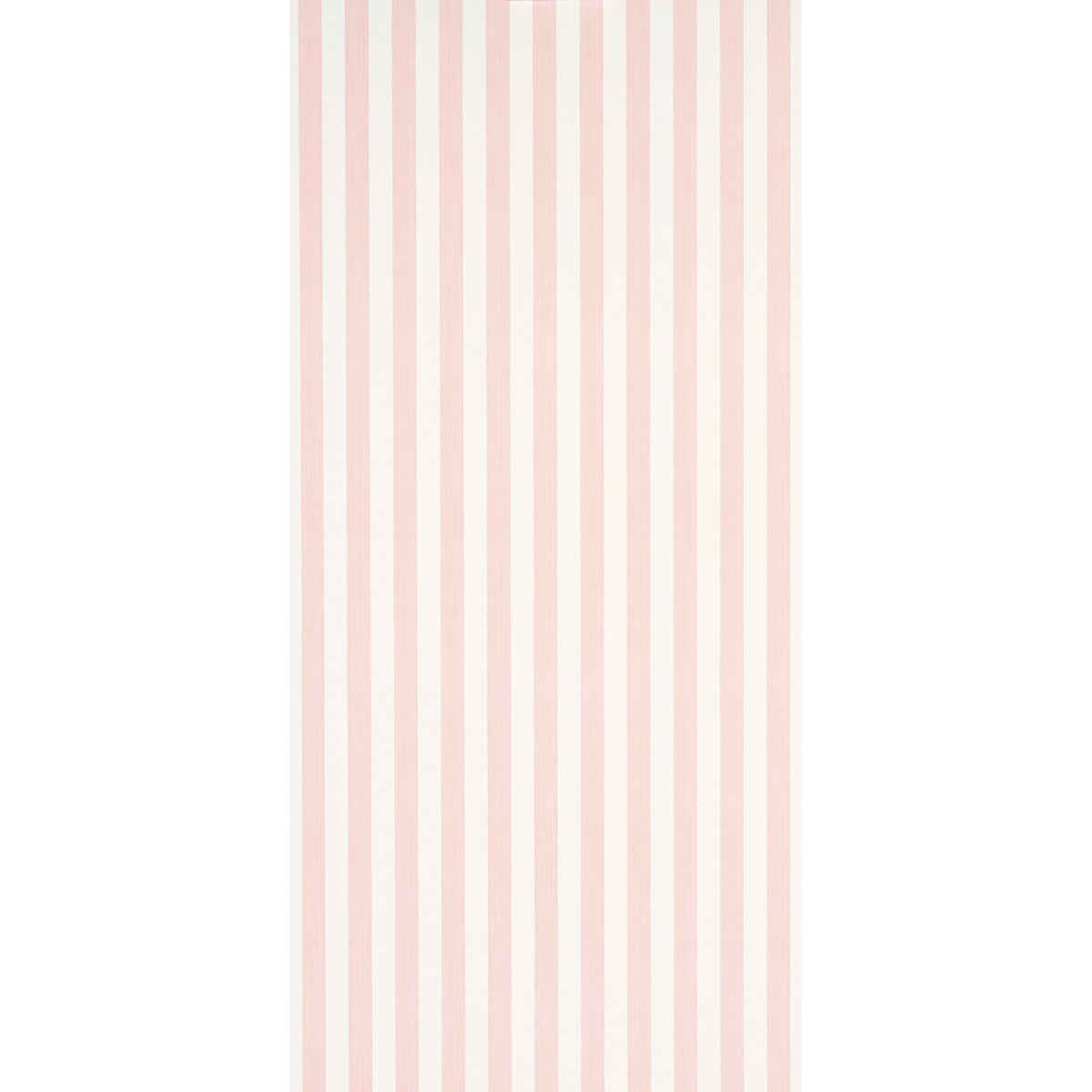 EDWIN STRIPE MEDIUM gallery 1