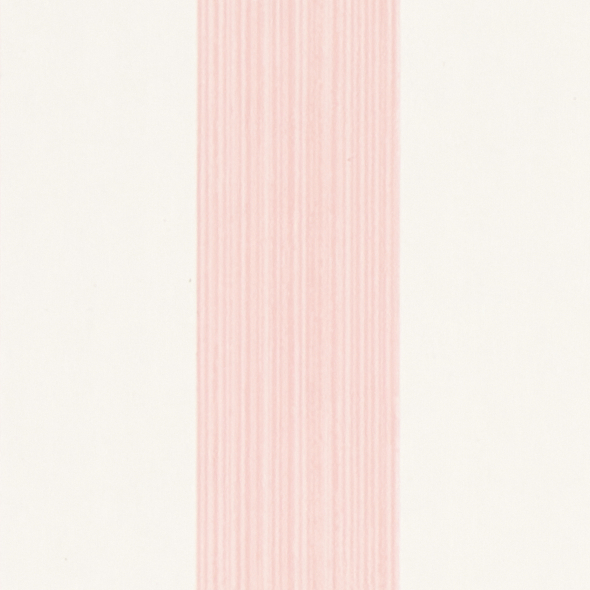 EDWIN STRIPE MEDIUM gallery 2