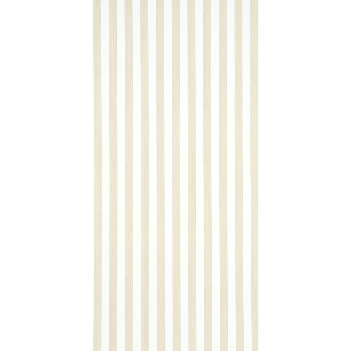 EDWIN STRIPE MEDIUM gallery 1