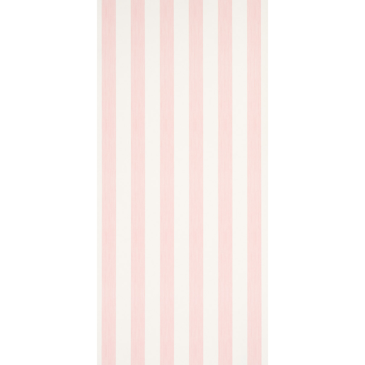 EDWIN STRIPE WIDE gallery 1