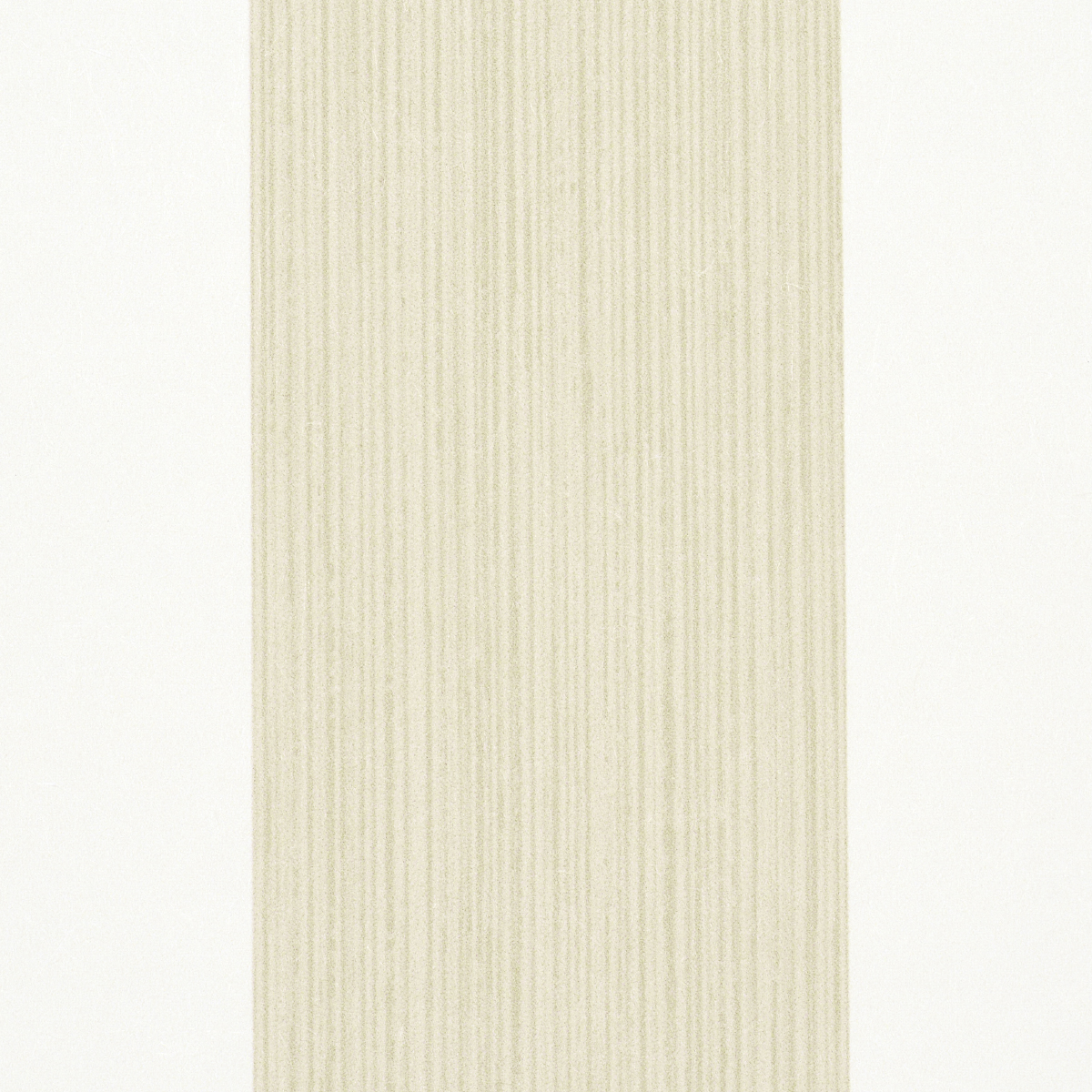 EDWIN STRIPE WIDE gallery 2