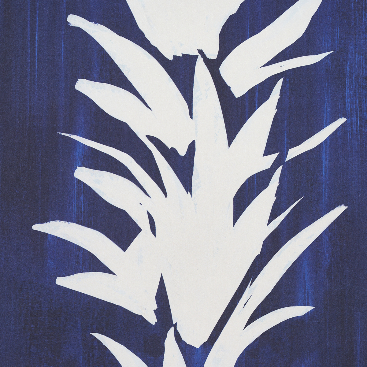 WHITE LOTUS gallery 2