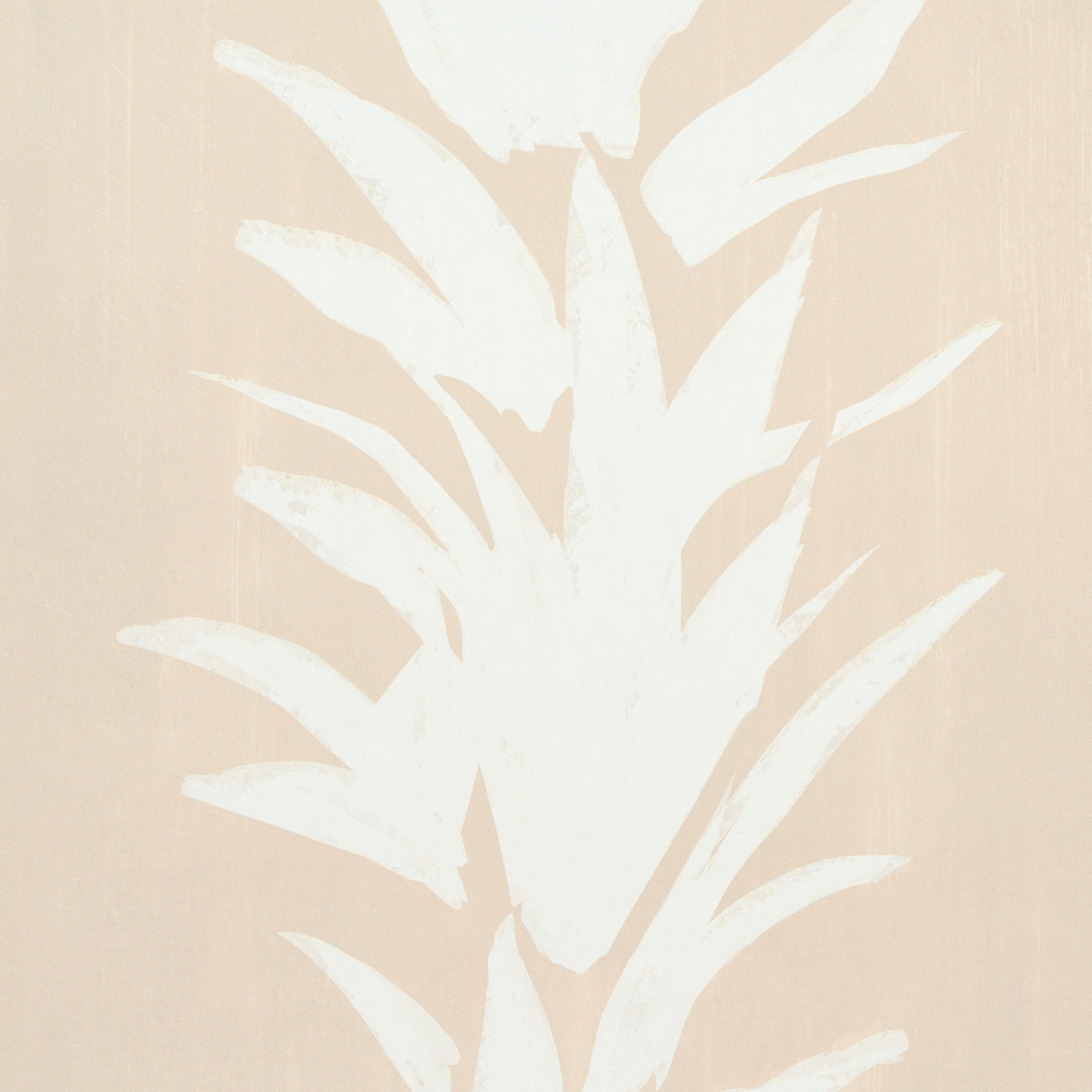 WHITE LOTUS gallery 2