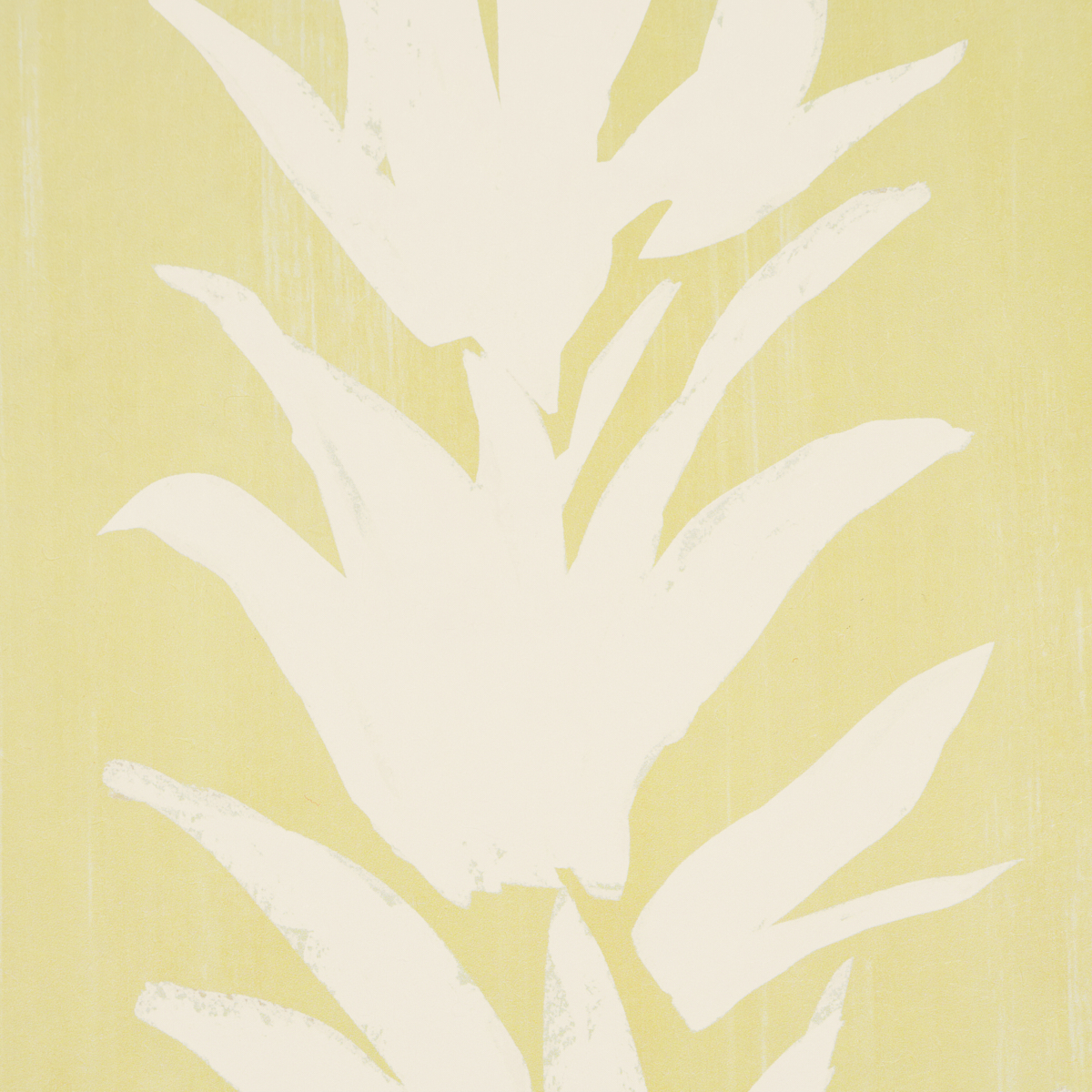 WHITE LOTUS gallery 2