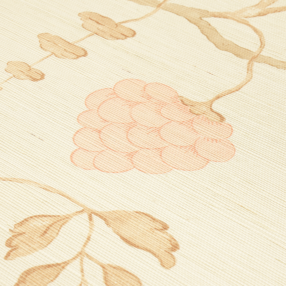 WISTERIA SISAL gallery 3