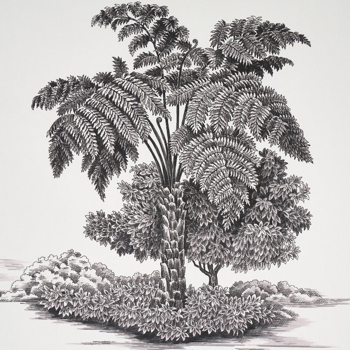 TOUSSAINT TOILE gallery 4