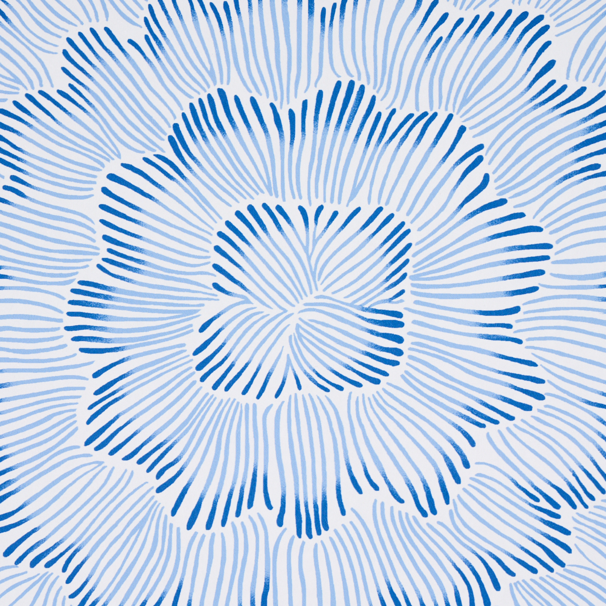 FEATHER BLOOM gallery 2