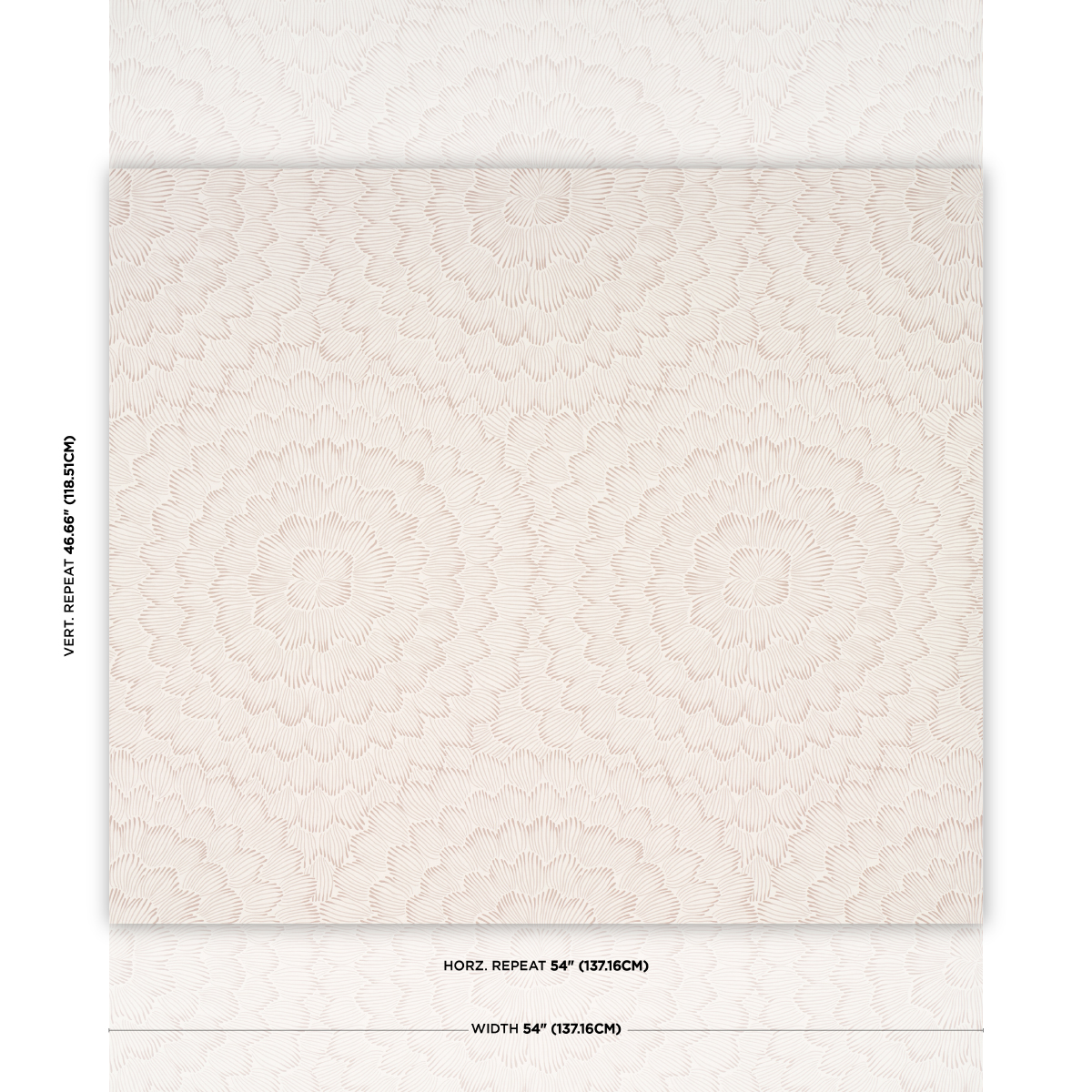 FEATHER BLOOM gallery 1