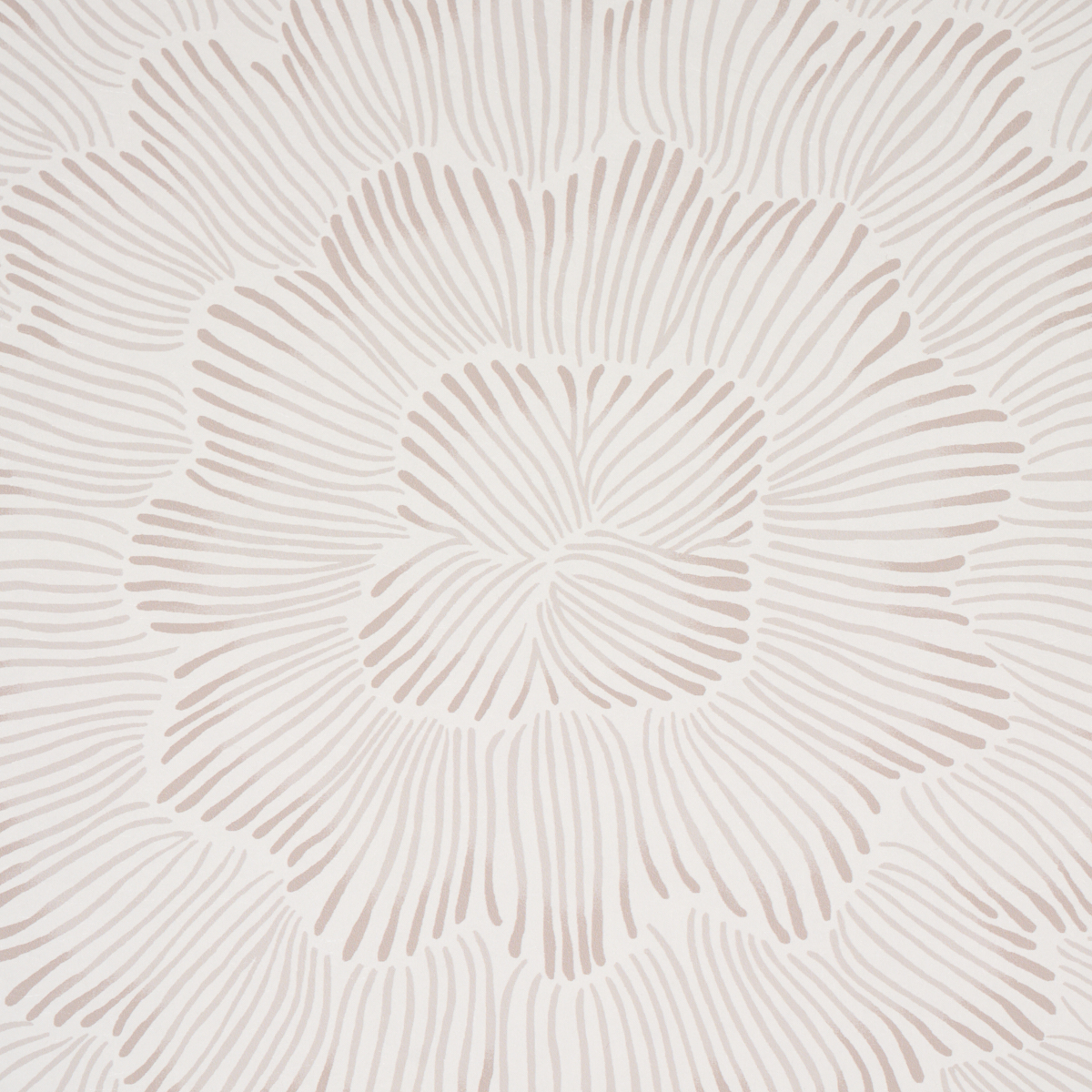 FEATHER BLOOM gallery 2
