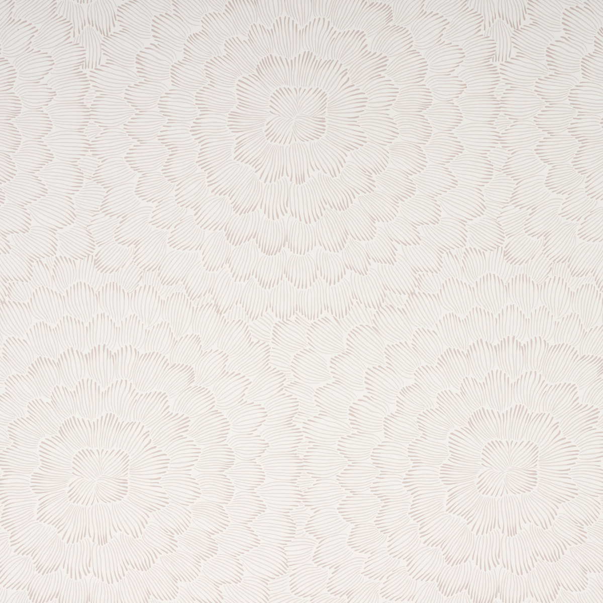 SOFT NEUTRAL