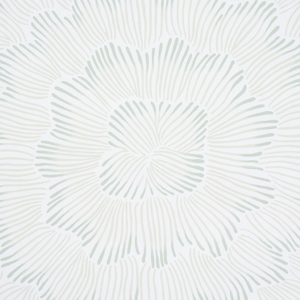 FEATHER BLOOM gallery 2