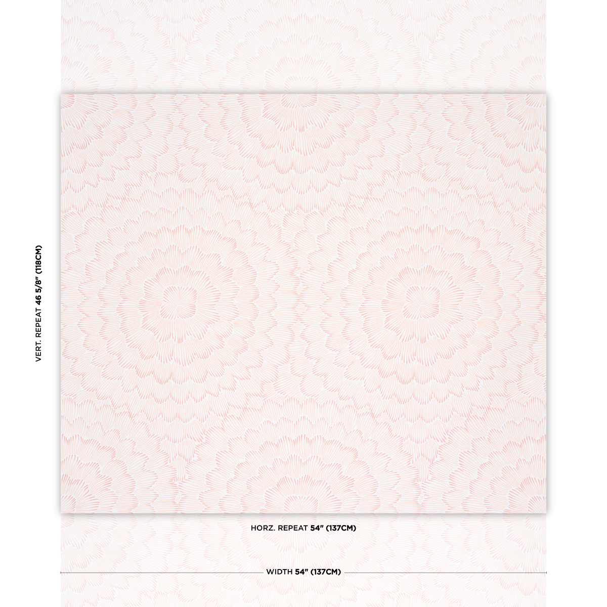 FEATHER BLOOM gallery 1