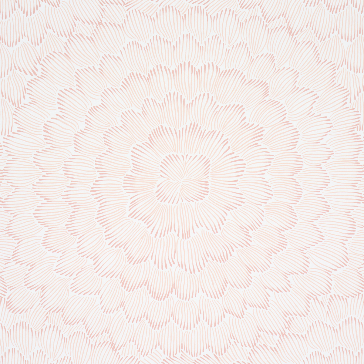 FEATHER BLOOM gallery 2